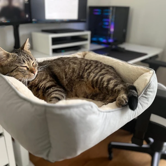Desk Cat Bed | Attachable Cat Bed for Desks and window sills | Hand Made | robust | foldable | sturdy | Pet bed | for Tables | Hammock |